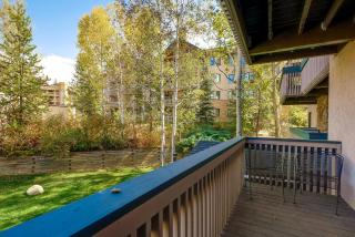 Ptarmigan House - Steamboat Springs - 7