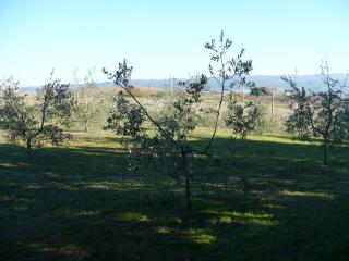 La Casina - Case Fortullino - 2