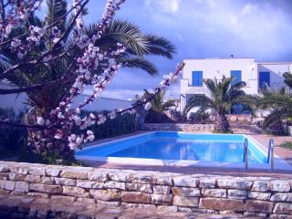 Case Selinuntine Apartments - Marinella di Selinunte - 3