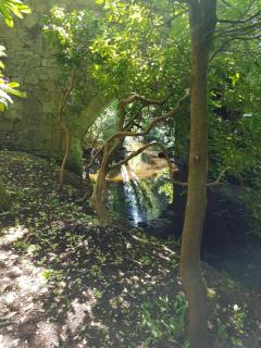 Bonkle House - Wishaw - 1