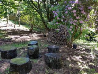 Bonkle House - Wishaw - 2