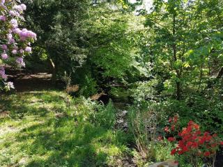 Bonkle House - Wishaw - 3