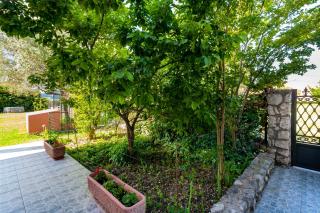 Apartments Vanja - Bar - 5