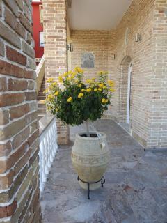 Andreas - Ammoudia - 6