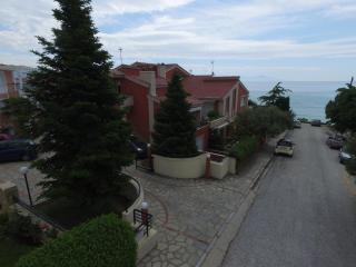 Villaroza - PalaiónTsiflíkion - 2