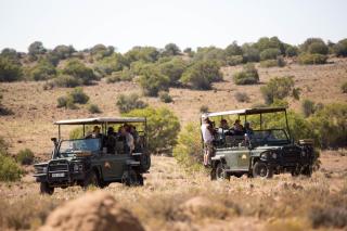 Letsatsi Game Lodge - Smithfield - 8