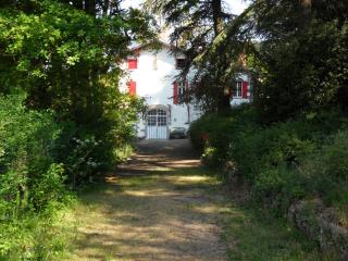 Chambres d'hôtes - B&B - 5