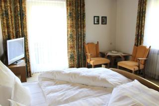 Hotel Alpina - 9