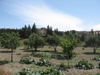 Zena Holiday Villa - Pissouri - 4