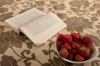 OC Hotel - Settecamini - 4