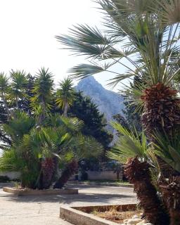 B&B "Perla del Sud" - San Vito lo Capo - 3
