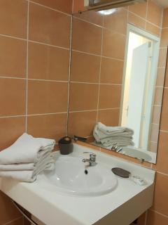 Hotel-appart Les Manguiers - Saint-Denis - 4