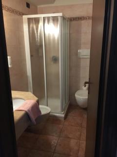 Albergo Valle d'Oro - Albino - 6