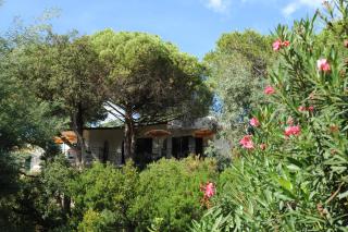 Hotel Antares - 6