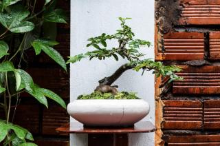 Ngoc Qui Bungalow - Phú Quốc - 2