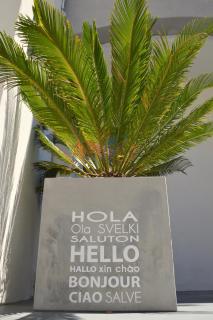 Hotel Les Acacias - Le Grau-du-Roi - 2