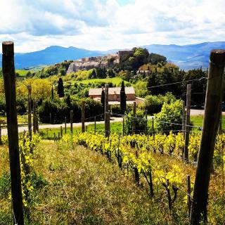 Podere Orto Wine Country House - 7