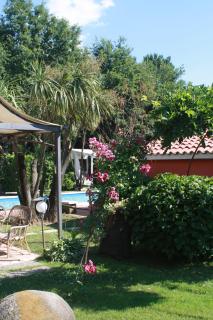 Magione B&B - Sant'Agata de' Goti - 1