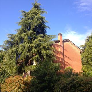 B&B Il Picchio - Bologna - 6