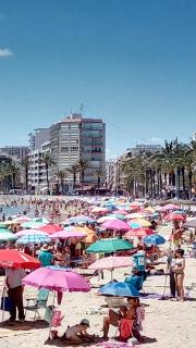 Apartment Manuel Galián 52 - Torrevieja - 1