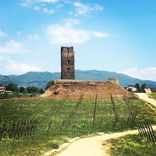 Il Casale degli Ulivi - Agriturismo - Lanuvio - 5