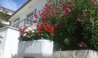 Apartment Banjol 137 - 8