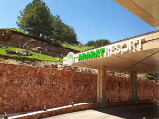 Ararat Resort Tsaghkadzor - Tsaghkadzor - 1