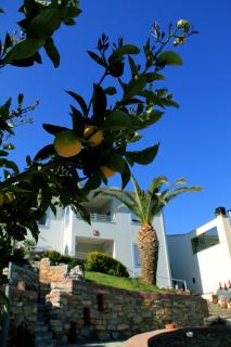 Aigli Apartments - Nea Anjíalos - 8