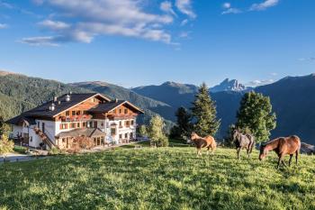 Herol - my mountain retreat, Luson (photo 4)