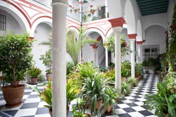 Casa Palacio, La Giralda, Sevilla (Foto 3)