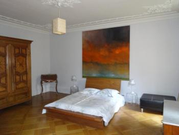 Les Serruriers - Appartement Spacieux avec Terrasse & Parking, Strasburgo (foto 4)