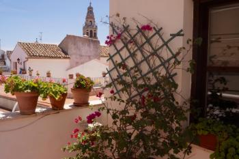 Penthouse Puerta de la Judería, Córdoba (fotografie 5)