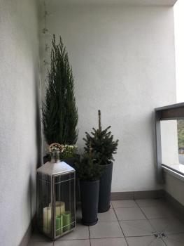 Apartament Kolska, Varšava (fotografie 5)