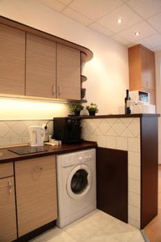 Brand New Apartment Budapest, Budapešť (fotografie 5)