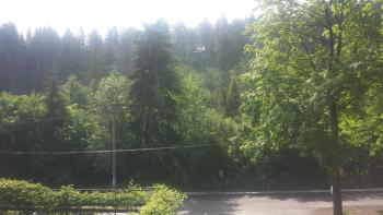 Alaska, Wisła (photo 5)