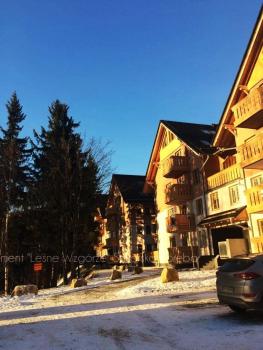 Apartament Lesne Wzgorze, Szklarska Poręba (zdjęcie 2)