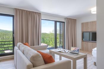 Blue Mountain Resort, Szklarska Poręba (foto 3)