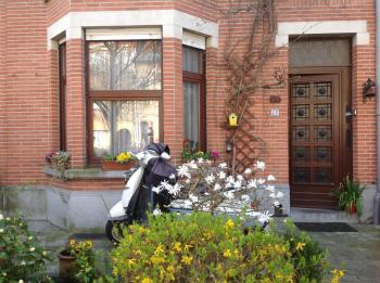 B&B Marianne, Bruxelles (photo 3)