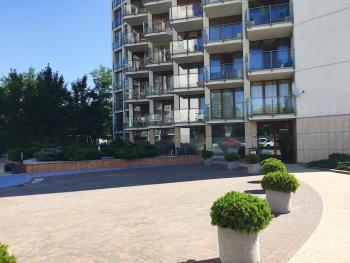 Grey Apartment Kołowa, Cracovia (foto 4)
