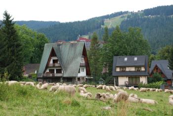 Domek Na Wierchu i Apartament na Wierchu, Zakopane (fotografie 2)