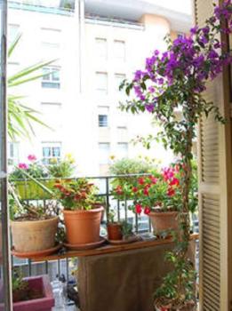 Nissa la Bella, Nice (fotografie 3)