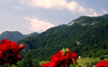 Pr Bevc, Bled (photo 3)
