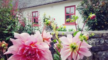 Rose Cottage, Doolin (fotografie 3)
