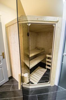 Brooklyn Sauna Apt by Ruterra, Praha (fotografie 3)