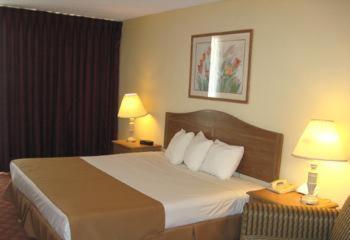 Ramada by Wyndham Austin South, Austin (photo 5)