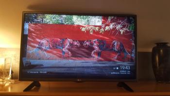 Un Soffice Nido Nel Cuore Di Torino, Турин (фото 4)