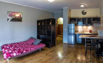 Marea Apartment, Вроцлав (фото 5)