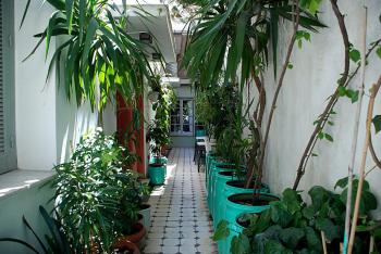 Pagration Youth Hostel, Афины (фото 2)