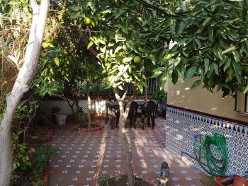 Villa Patricia, Málaga (fotografie 5)