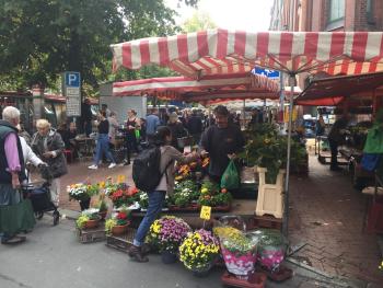 Lebendiges Linden, Hannover (fotografie 3)